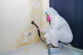 Best Real Estate Mold Inspection  in Poynette, WI